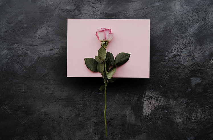 Gifting card with a pink rose