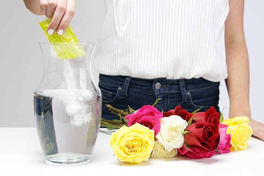 Lady putting Sugar Solution To keep flowers fresh.