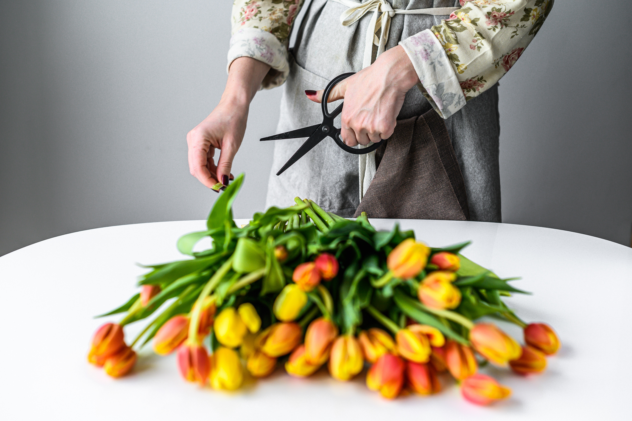 Young woman cutting stems of fresh tulips, making bouquet. White background.