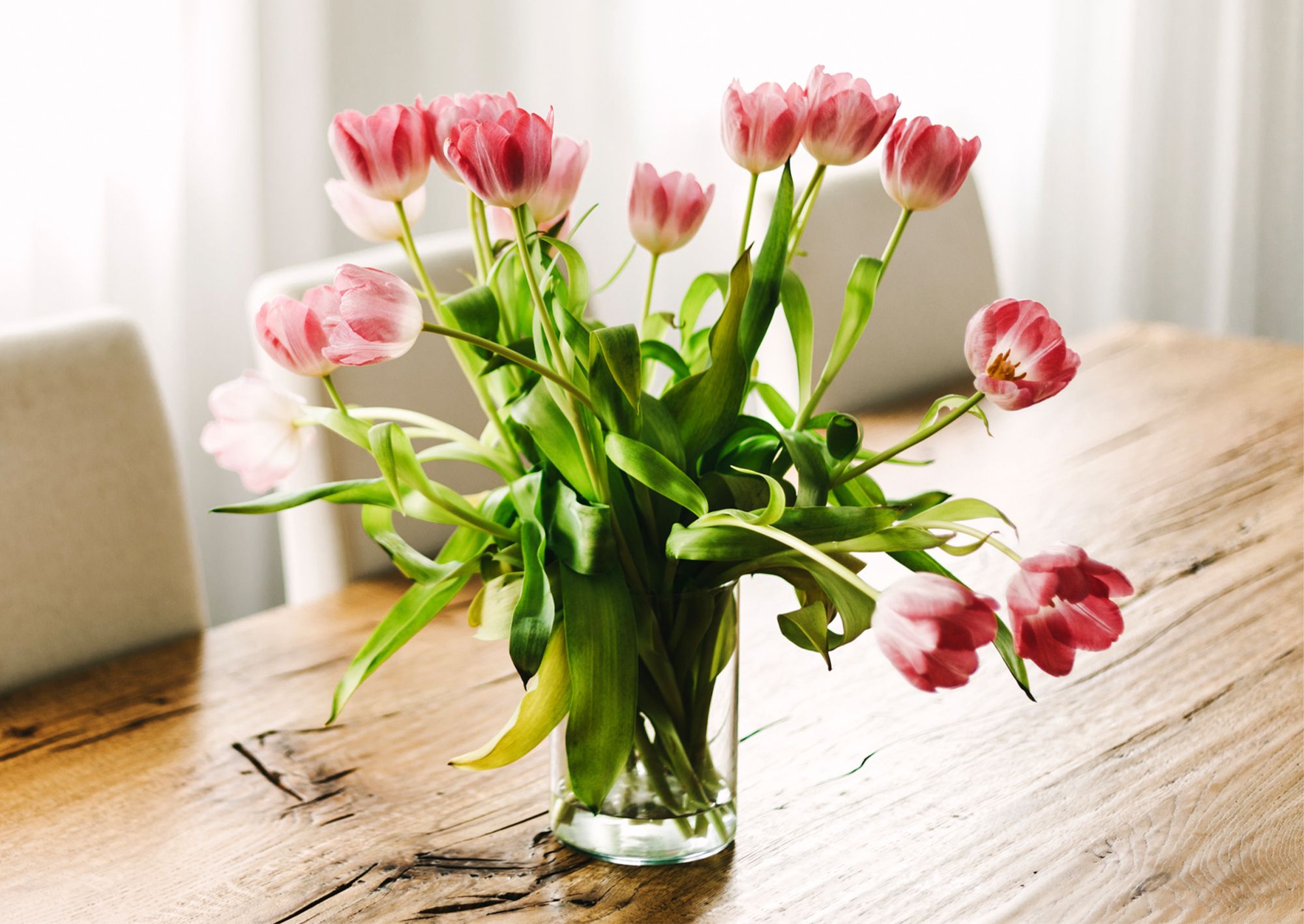 Tips to keep your flowers fresh