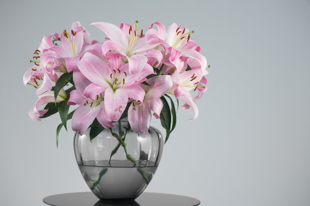 Lilies In A Vase