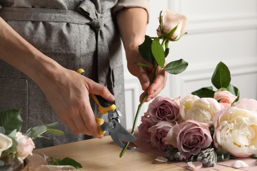 a lady cutting the stem of a pink rose