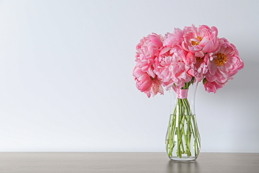 Peony Flower In A Vase