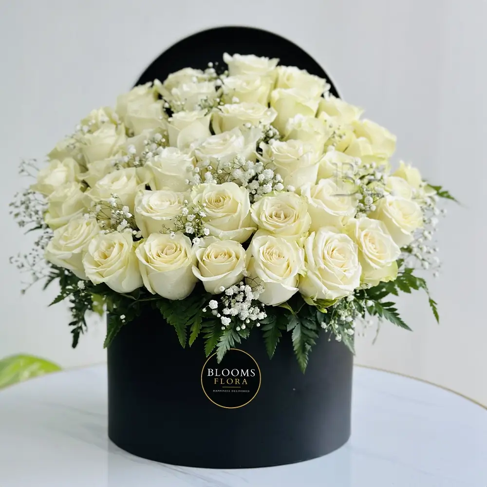 50 white roses in a round black box