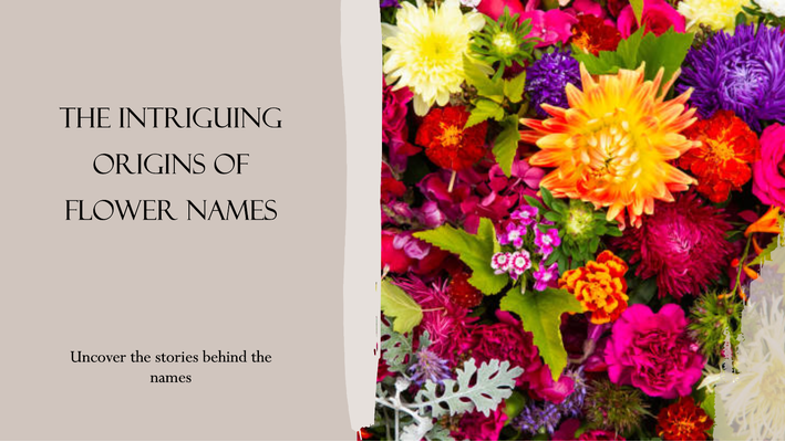 Flower Names And Origin