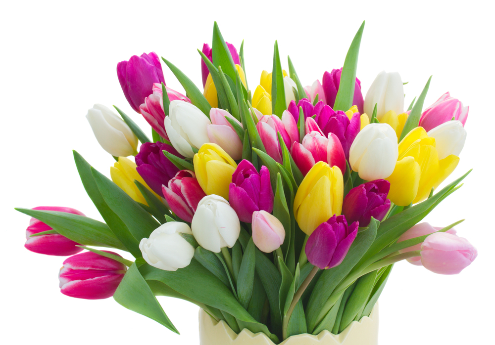 Tulips Bouquet