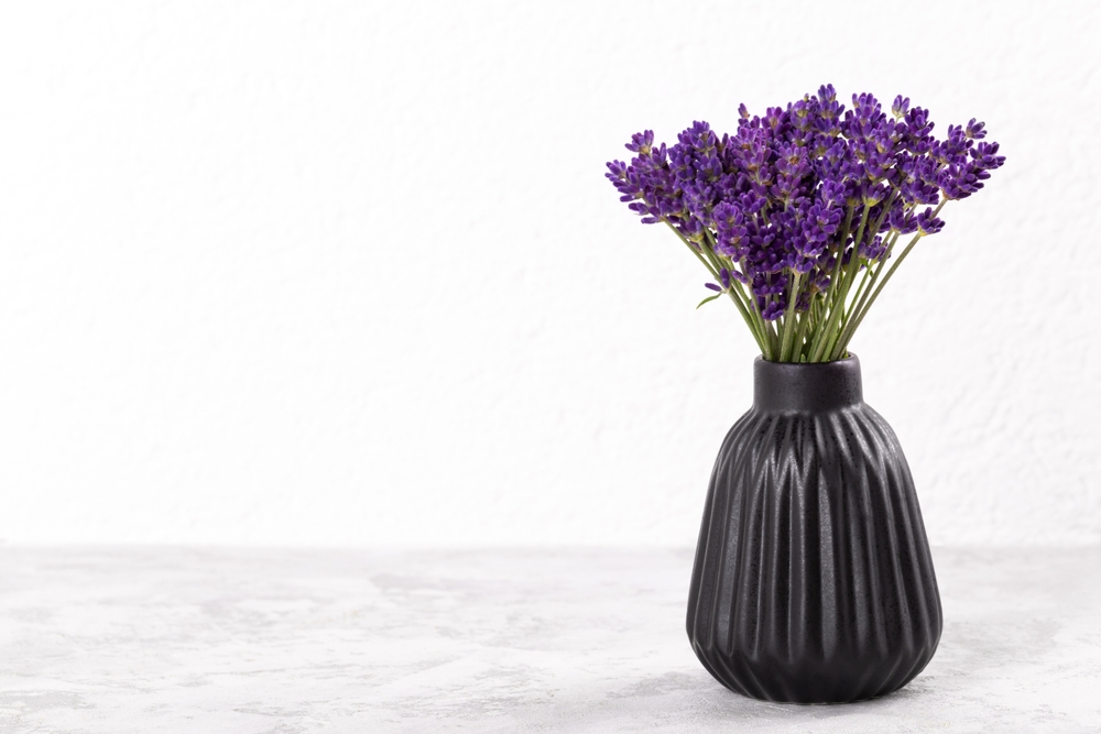 Lavender In A Vase