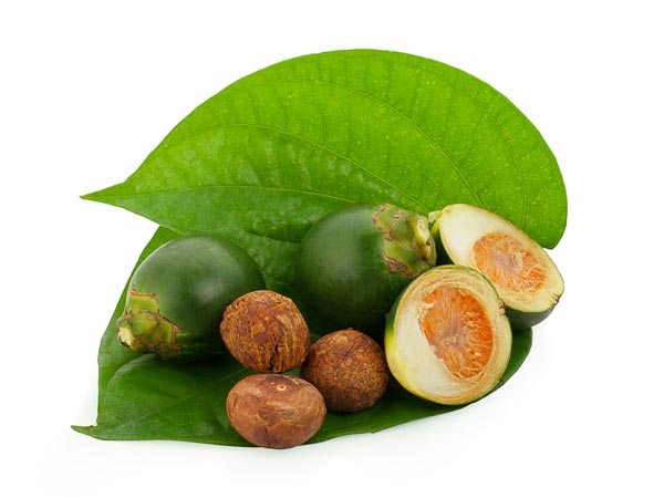 betelnut 1530793564 1