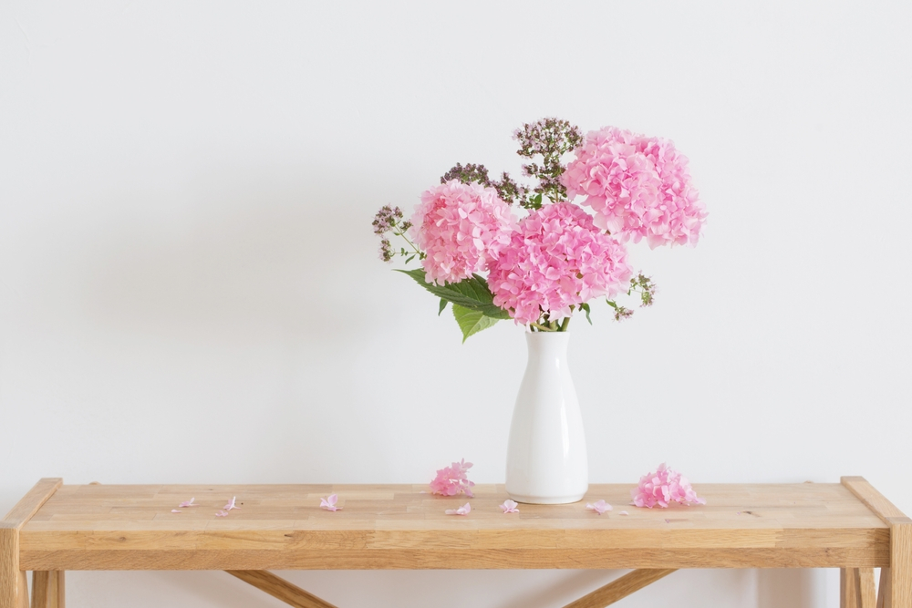 Pink Hydrangea Flower In A Vase