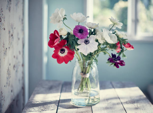 Anemone Flowers In A Vase