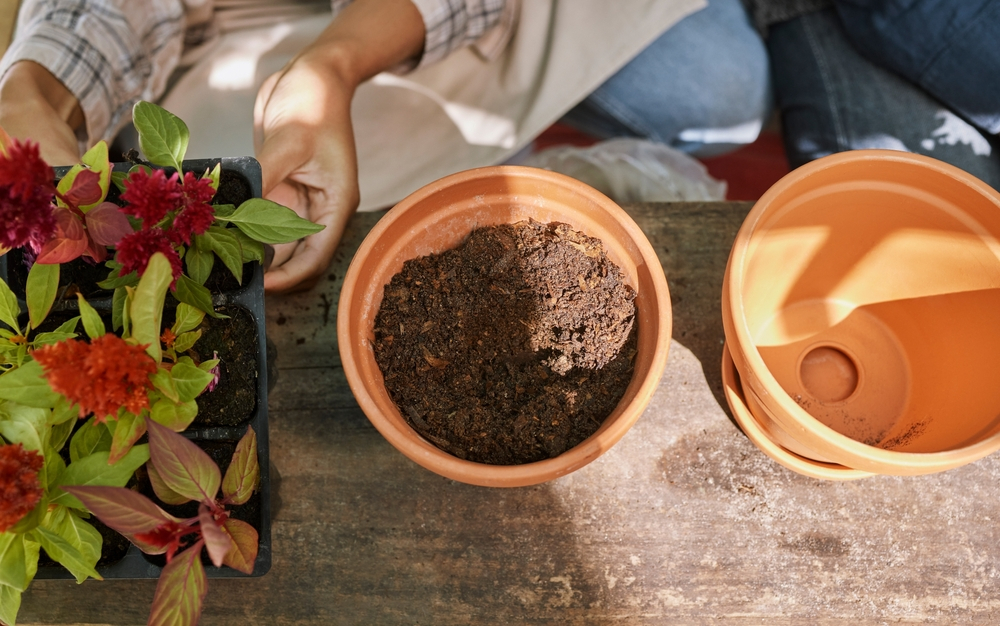 a woman checking the soil of a flower pot