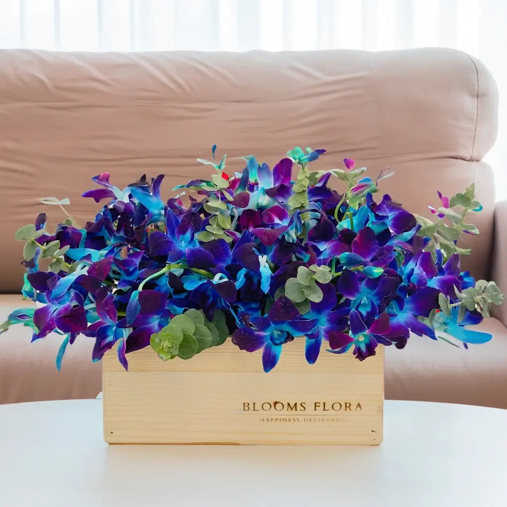 Blue Flowers: What Do They Mean and When Should You Gift Them? 6 sp 22