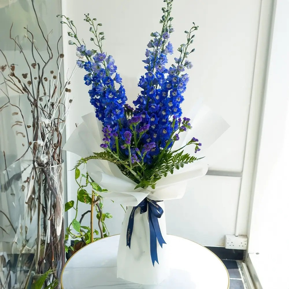 Blue Flowers: What Do They Mean and When Should You Gift Them? 7 sp 23