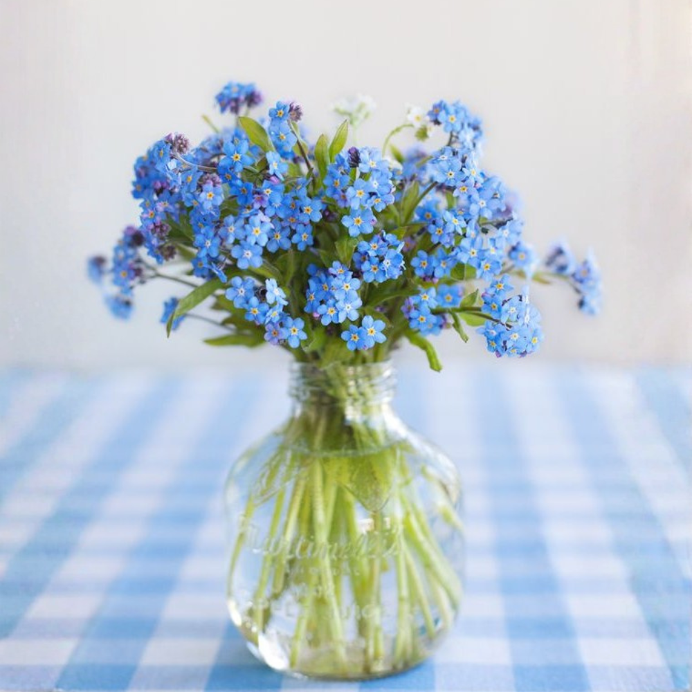 Blue Flowers: What Do They Mean and When Should You Gift Them? 8 sp 24