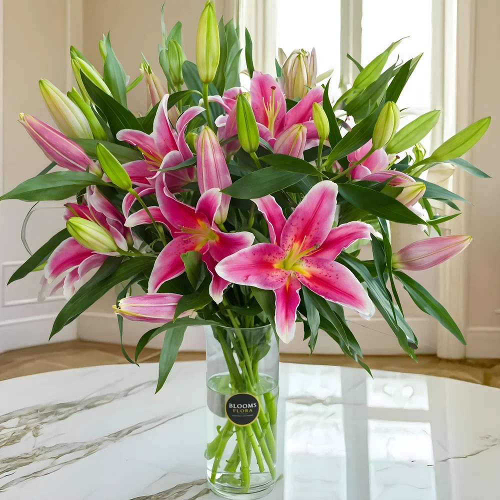 Birthday Gift Ideas for Girlfriend: Find the Right Gift 7 sp 98